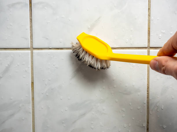 Best Kitchen Mold Remediation in Waverly, MN