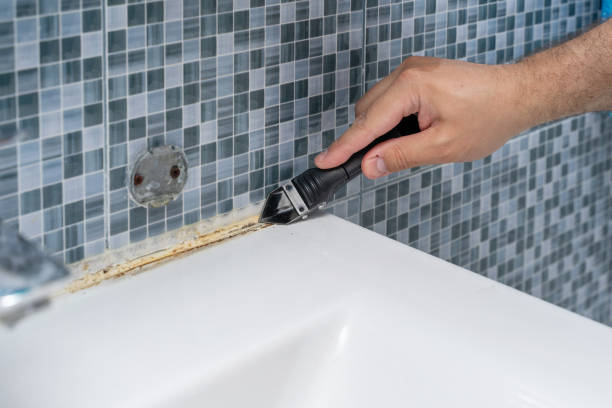 Best DIY Mold Remediation Support Services in Waverly, MN